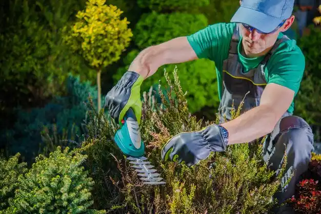 landscaping services Schriever